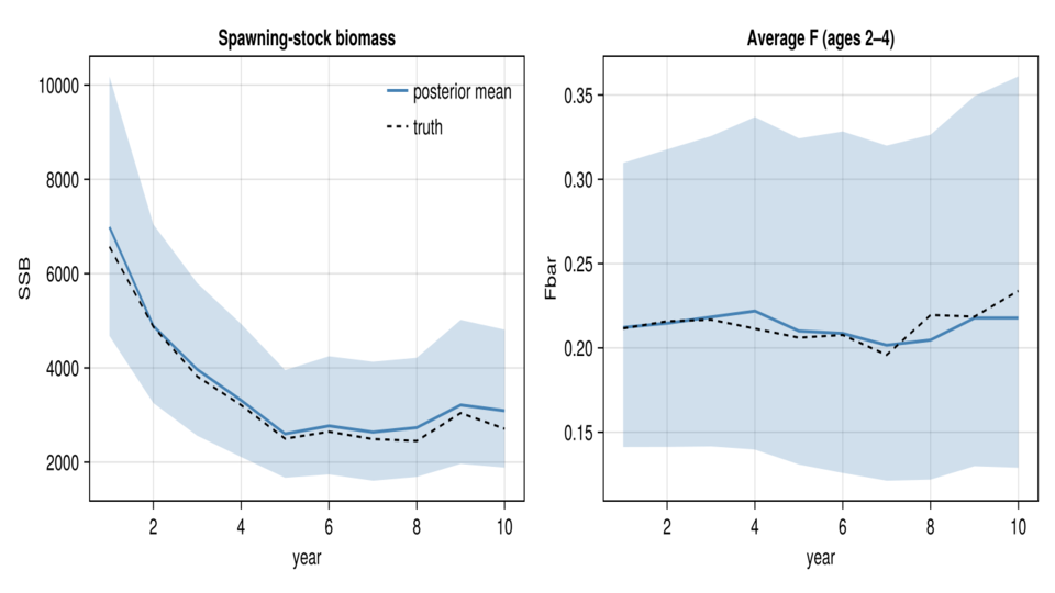 Age-structured stock assessment (SAM)