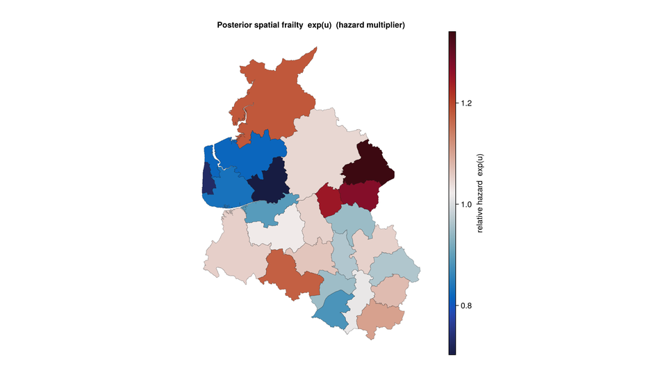 Spatial survival: leukemia hazards